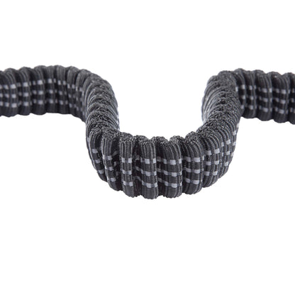 Reflective Nylon Dog Leash with Shock Absorbing Design