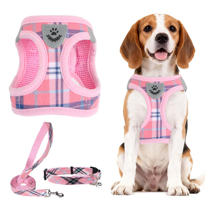 No Pull Dog Harness Set with Collar and Leash
