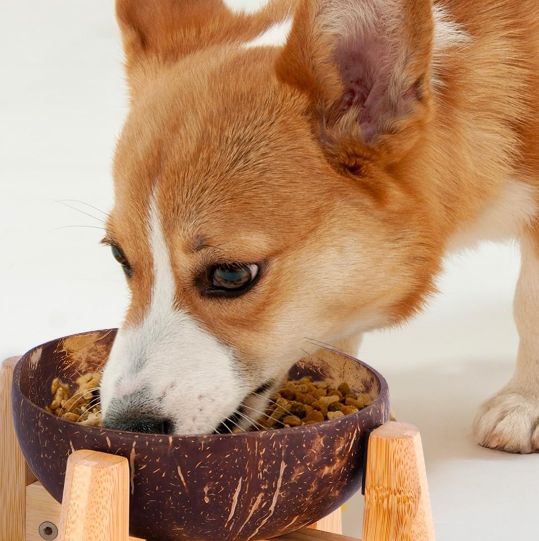 Raised Bamboo Dog Bowl Set for Elevated Feeding