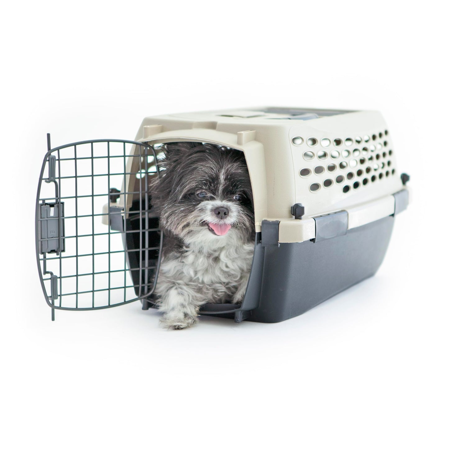 Plastic Dog Kennel for Safe Travel & Indoor Use
