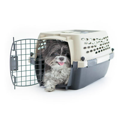 Plastic Dog Kennel for Safe Travel & Indoor Use