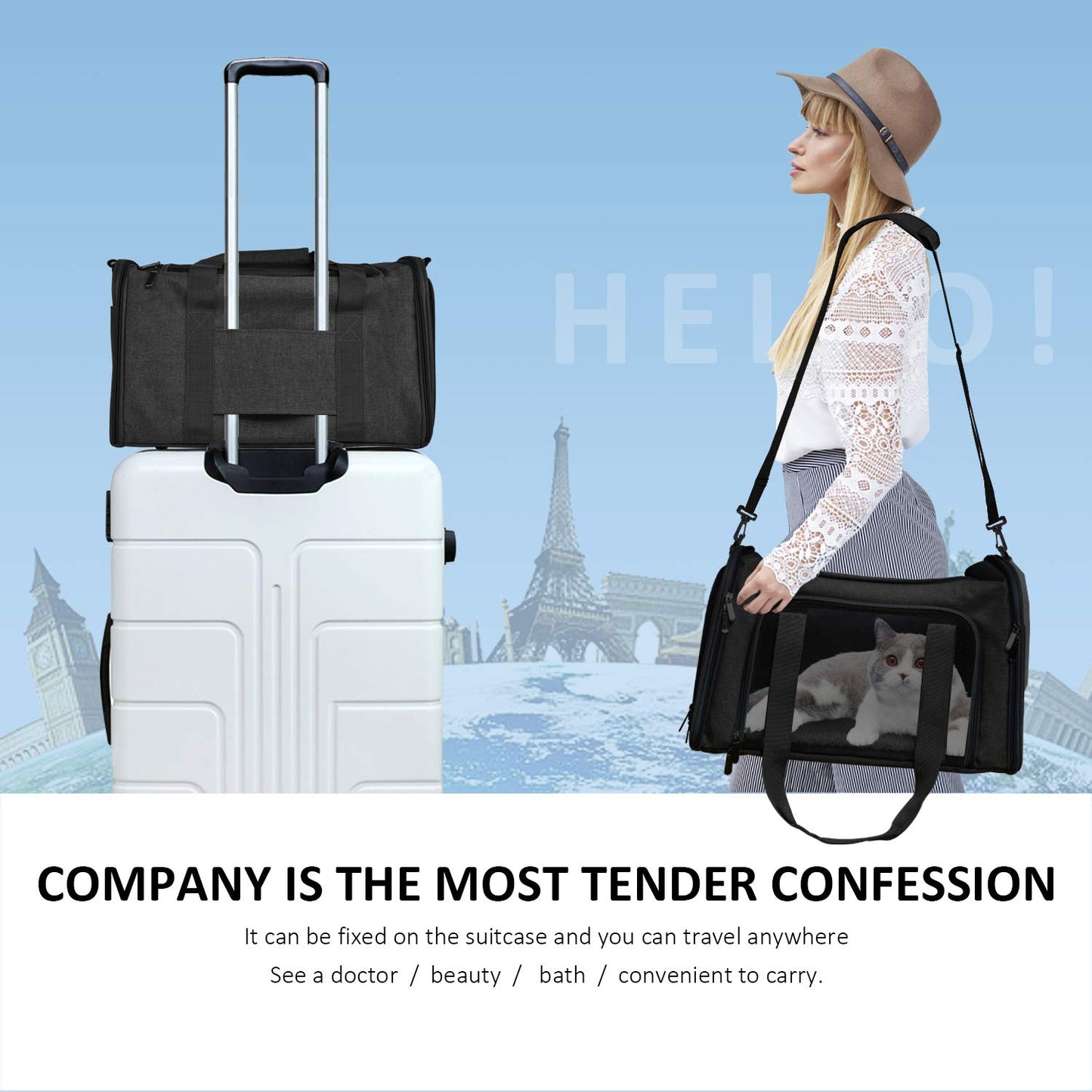 Soft Sided Pet Carrier for Cats & Small Dogs