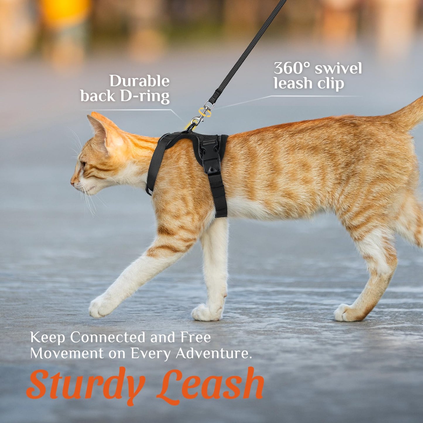 Cat Harness and Leash Set with Quick Release
