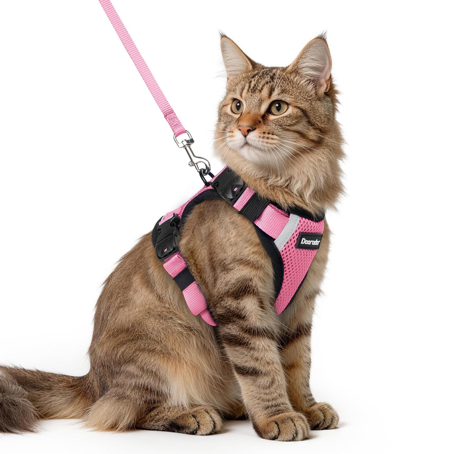 Cat Harness and Leash Set with Quick Release