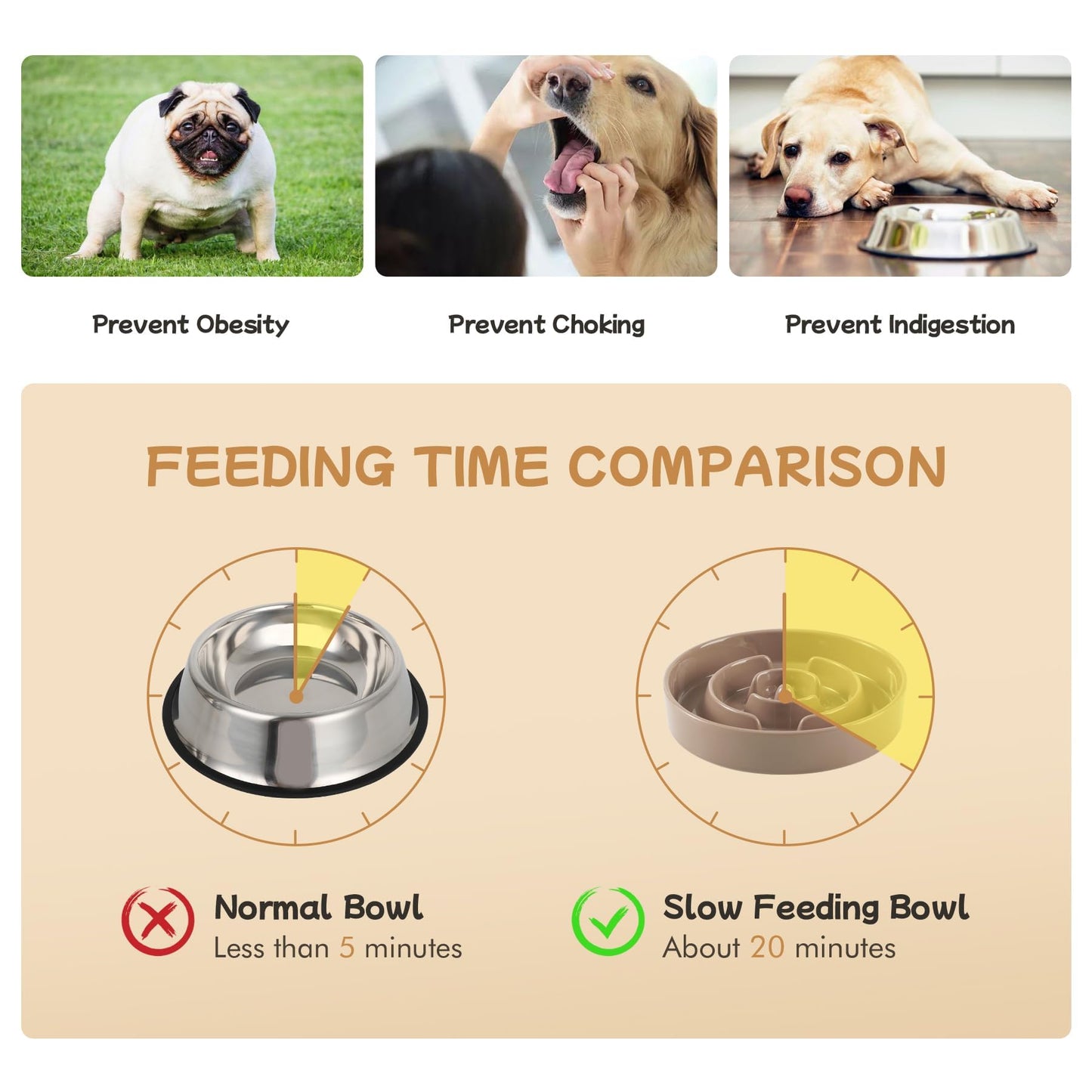 Ceramic Slow Feeder Bowl for Dogs & Cats