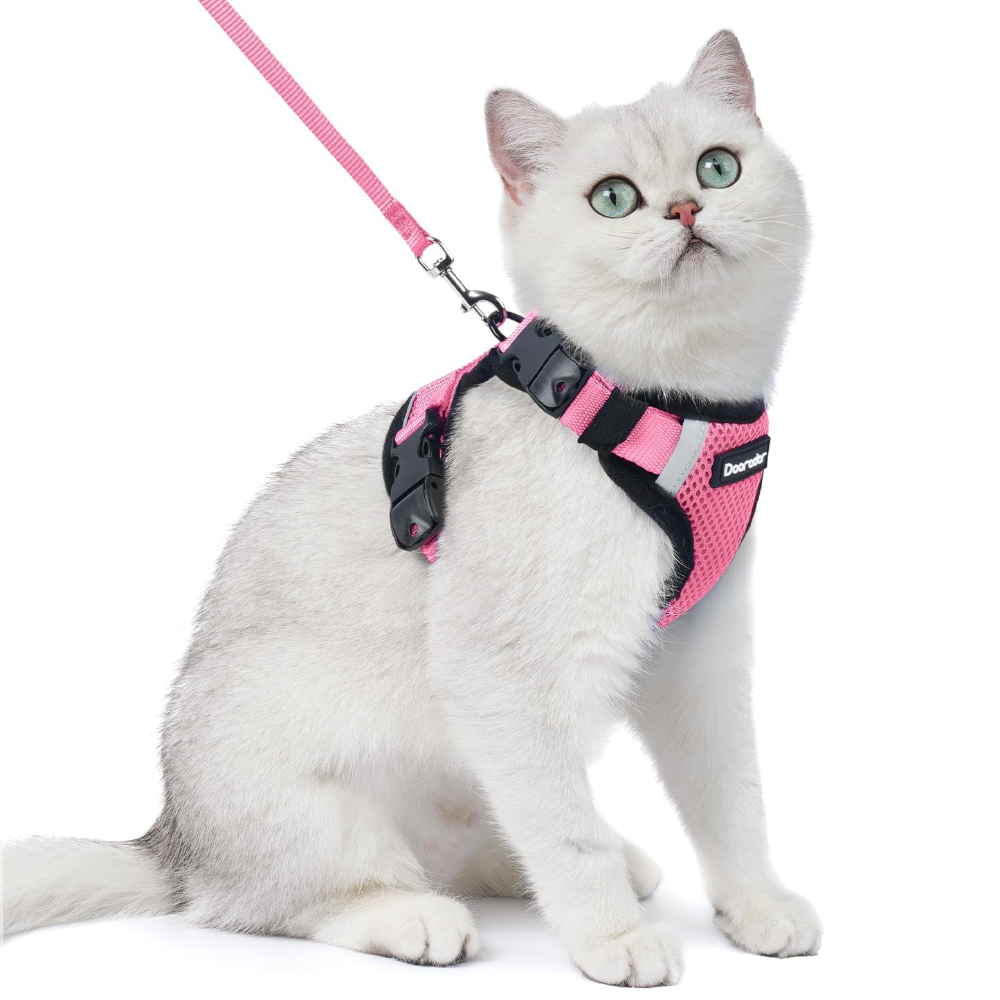 Cat Harness and Leash Set with Quick Release