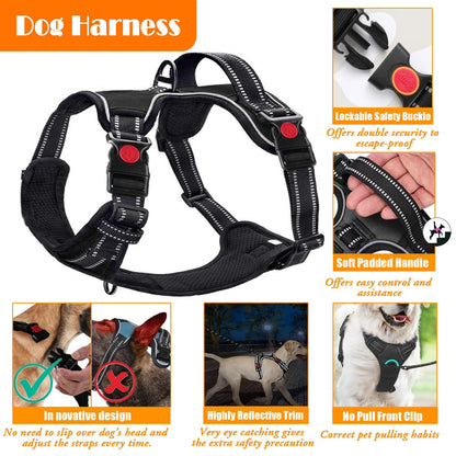 No Pull Dog Harness Set with Leash and Collar