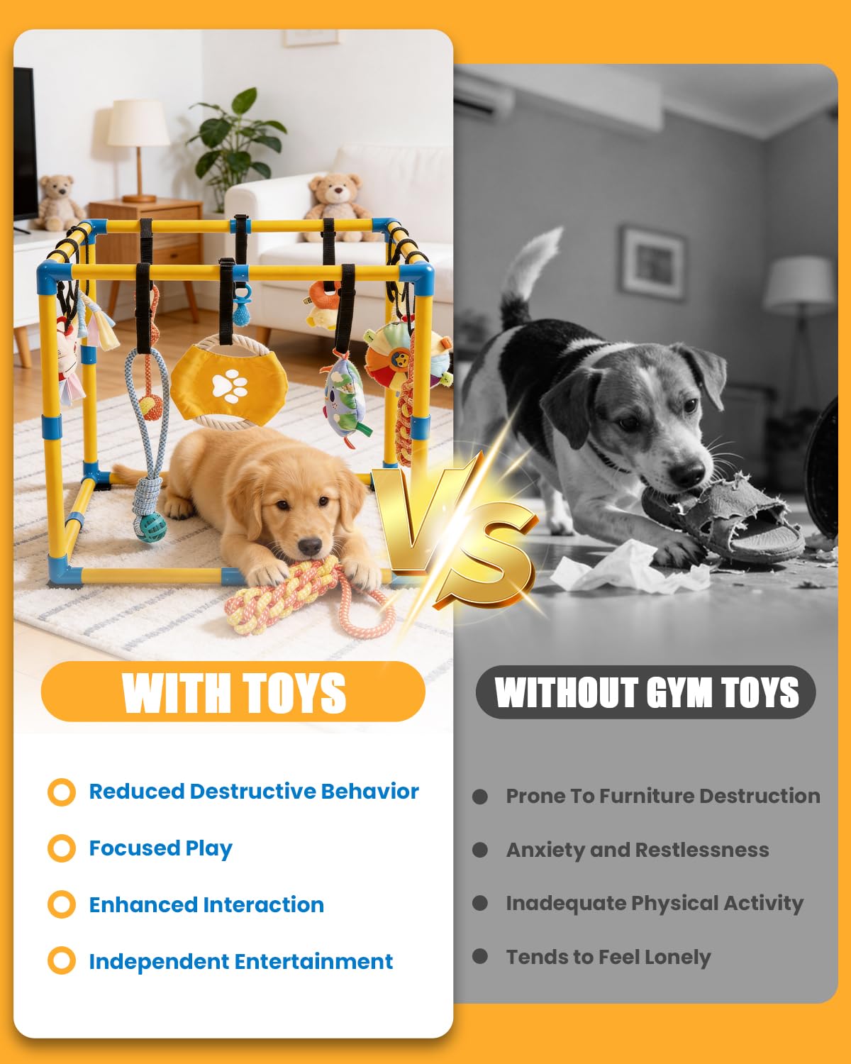 Indoor Pet Play Gym with Hanging Activity Toys