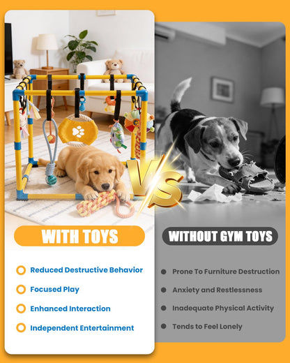 Indoor Pet Play Gym with Hanging Activity Toys