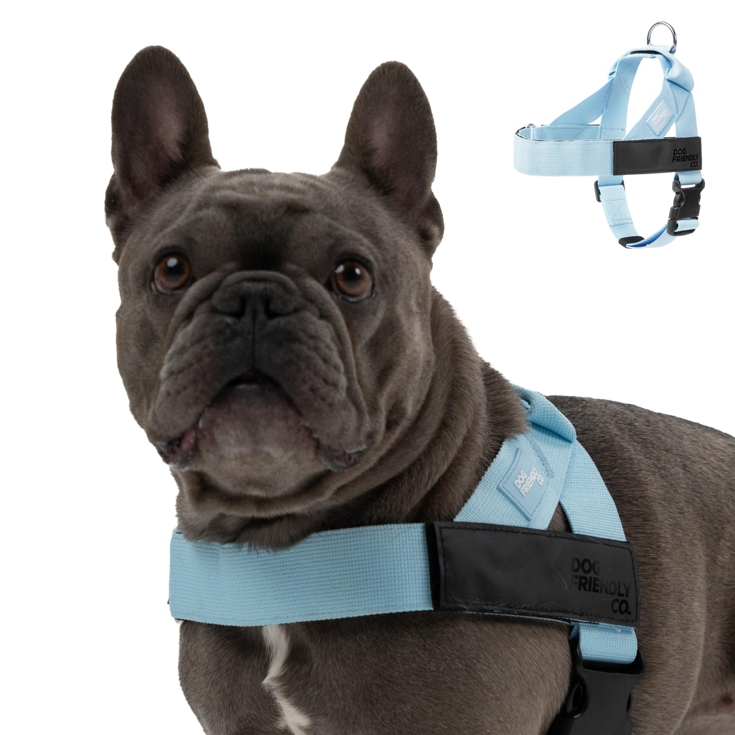 Comfortable No Pull Dog Harness
