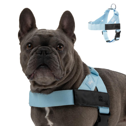 Comfortable No Pull Dog Harness