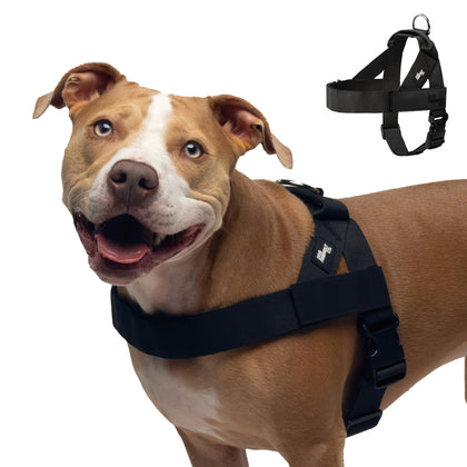 Comfortable No Pull Dog Harness