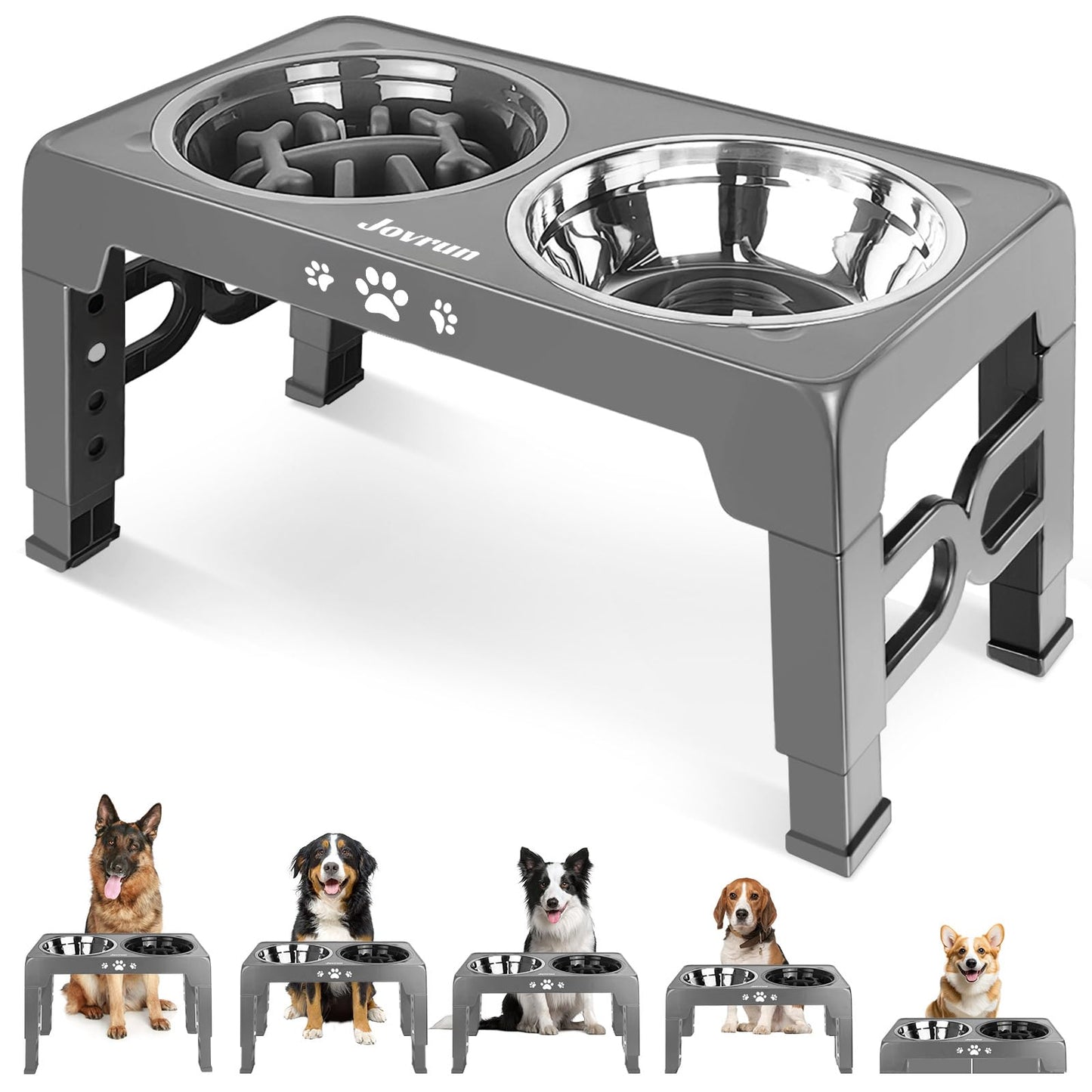 Elevated Adjustable Dog Bowl with Slow Feeder