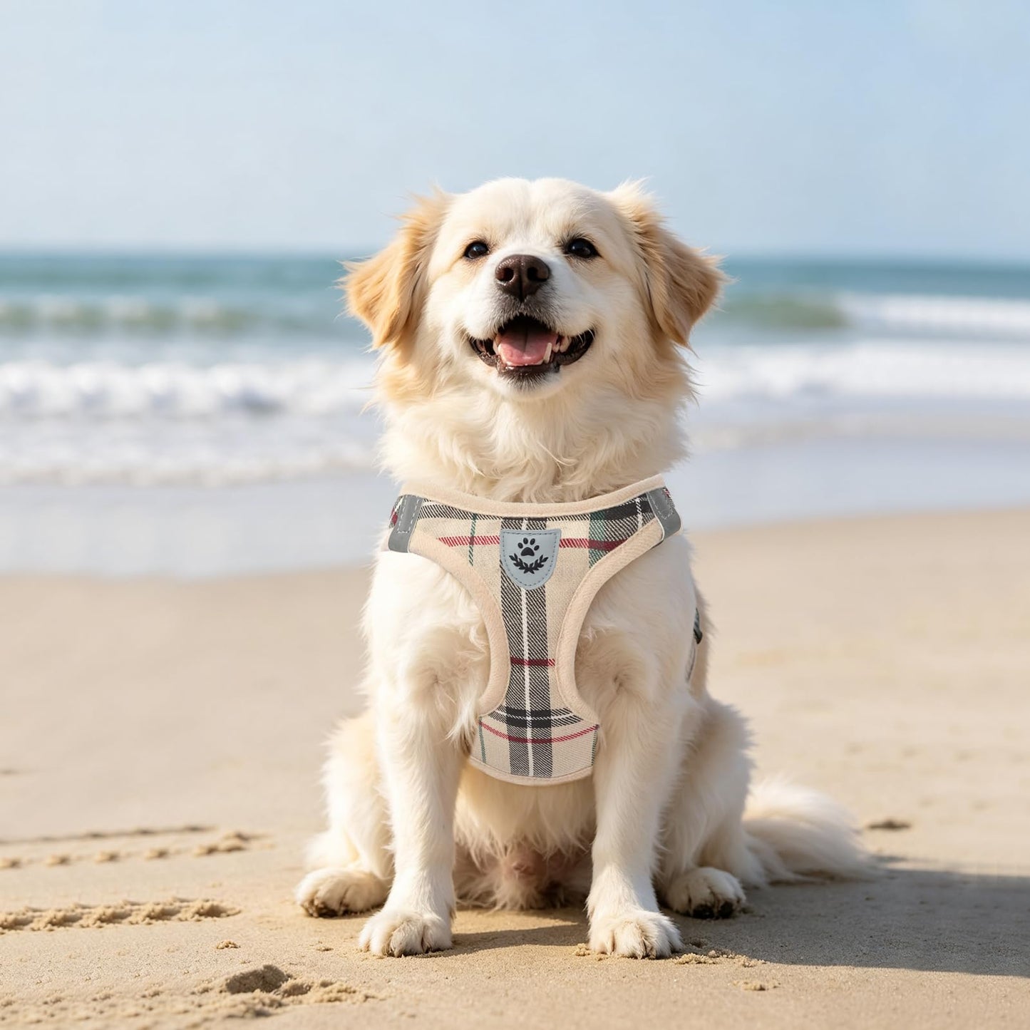 No Pull Dog Harness Set with Collar and Leash