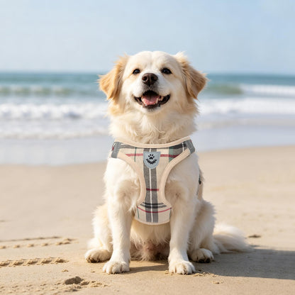 No Pull Dog Harness Set with Collar and Leash