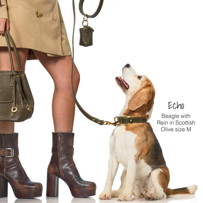 Vegan Leather Pet Leash with Durable Hardware