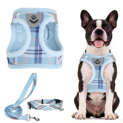 No Pull Dog Harness Set with Collar and Leash