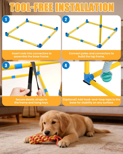 Indoor Pet Play Gym with Hanging Activity Toys