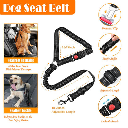 No Pull Dog Harness Set with Leash and Collar