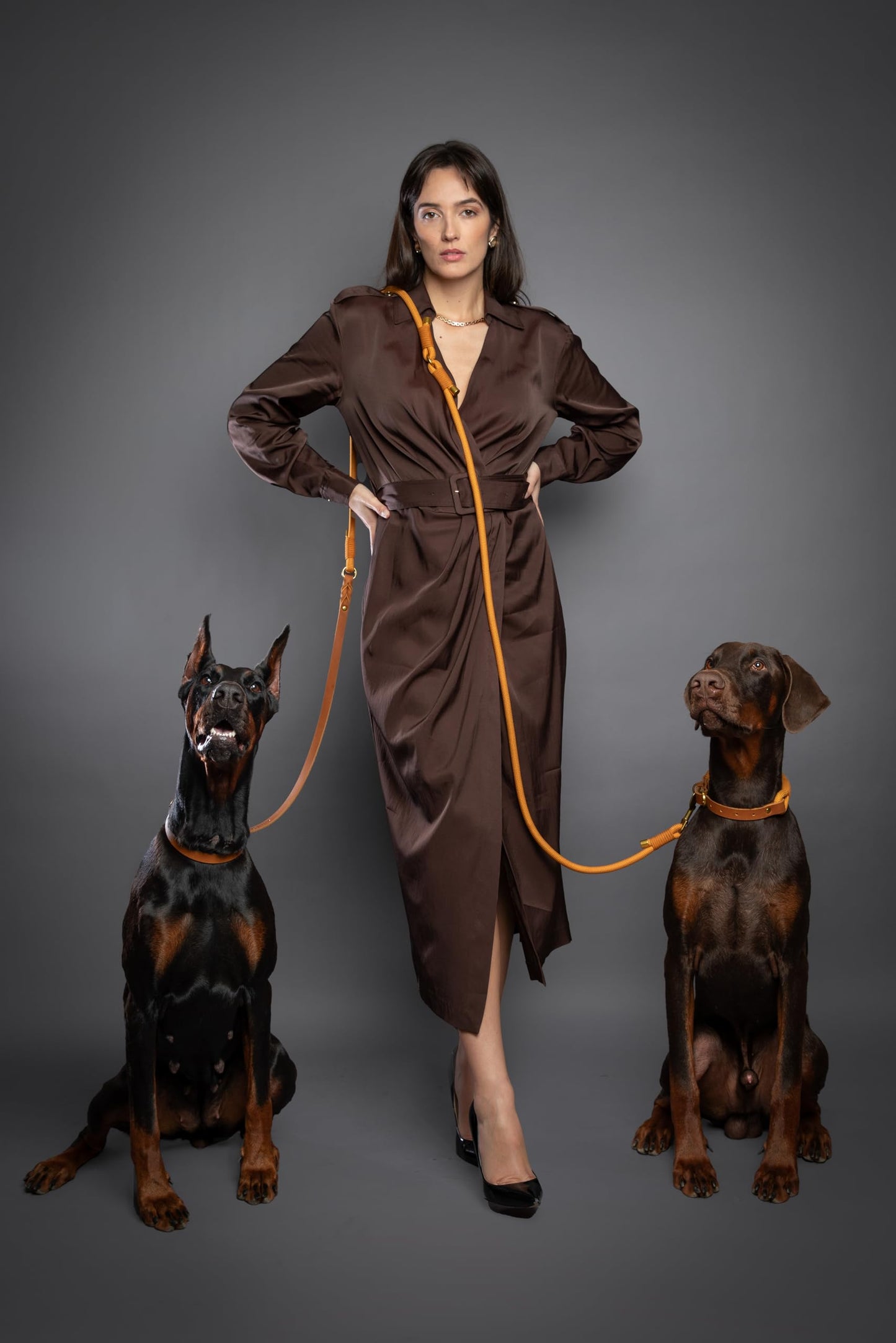 Hands Free Leather Dog Leash for Walking & Training