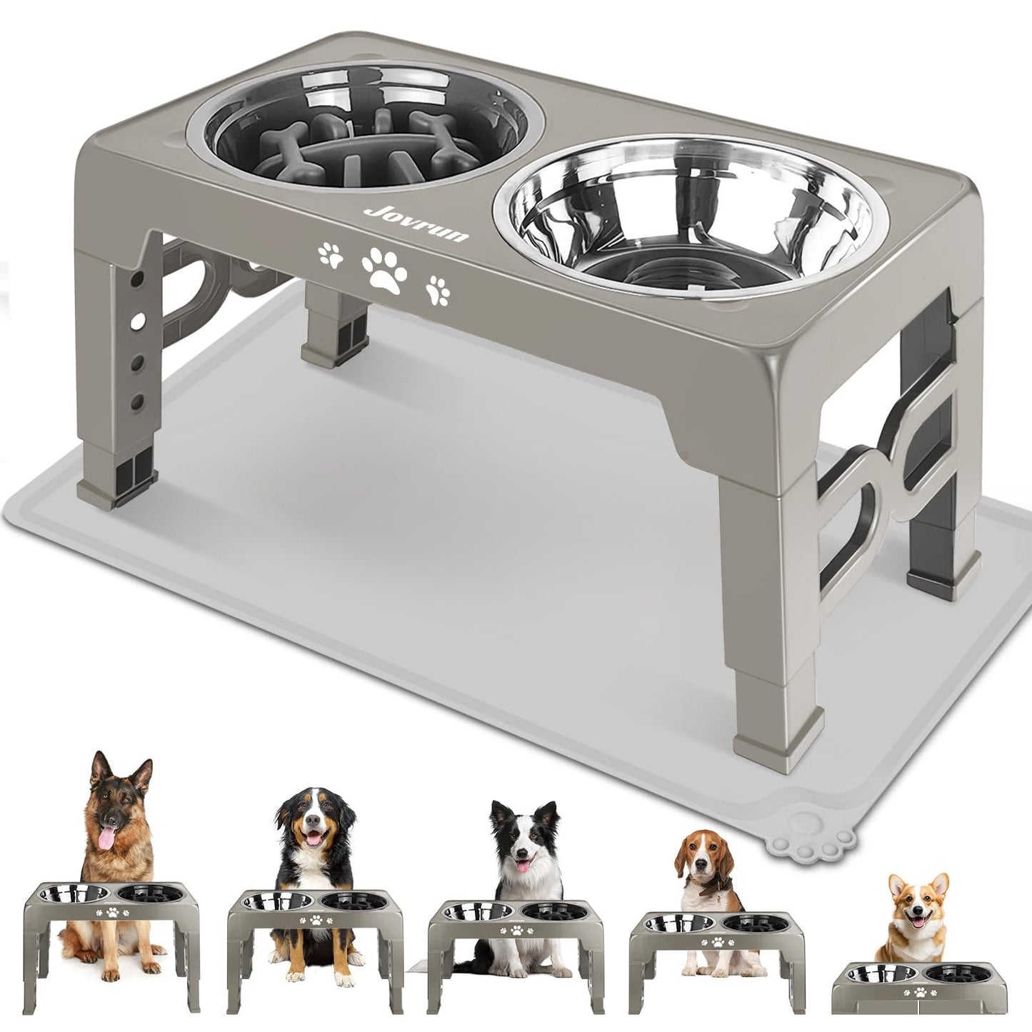 Elevated Adjustable Dog Bowl with Slow Feeder