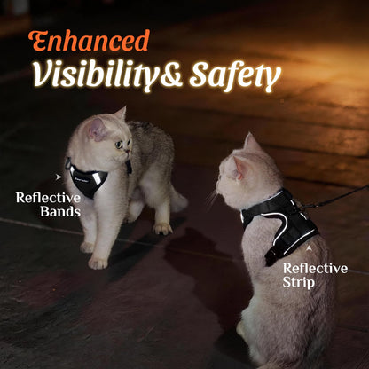 Cat Harness and Leash Set with Quick Release