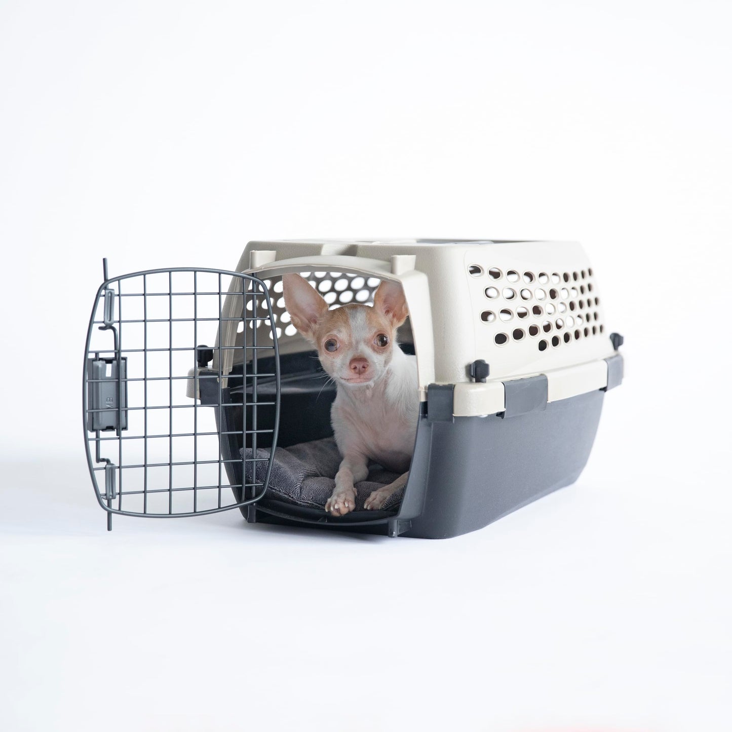 Plastic Dog Kennel for Safe Travel & Indoor Use