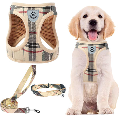 No Pull Dog Harness Set with Collar and Leash