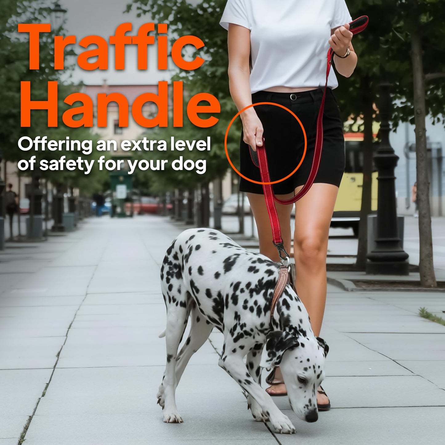 Reflective Dual Handle Dog Leash for Walking Control
