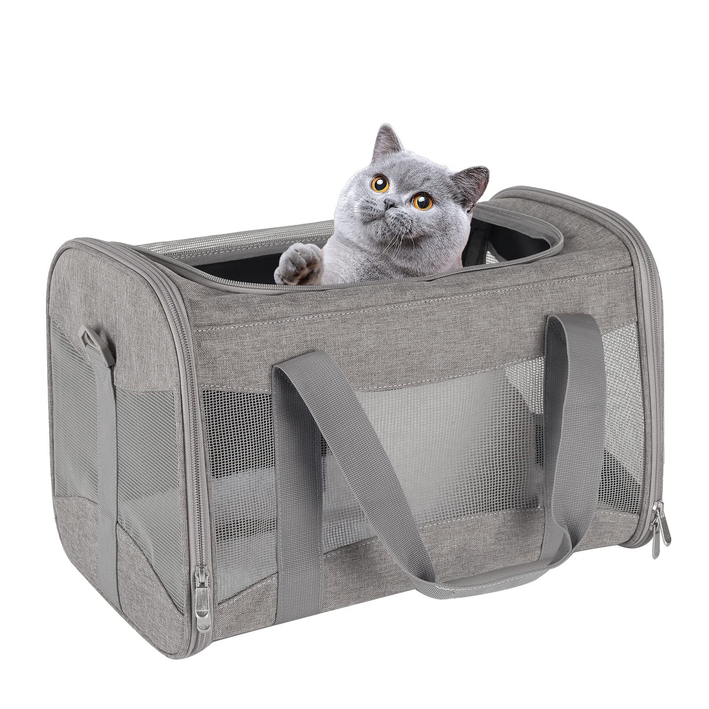 Airline Approved Soft Pet Carrier for Cats & Small Dogs