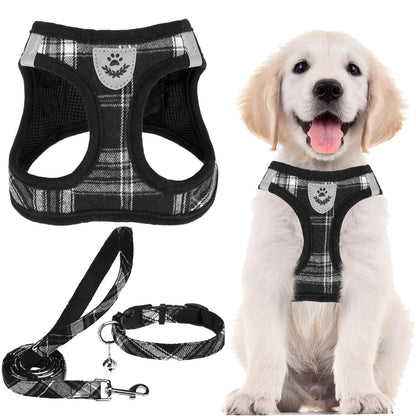 No Pull Dog Harness Set with Collar and Leash