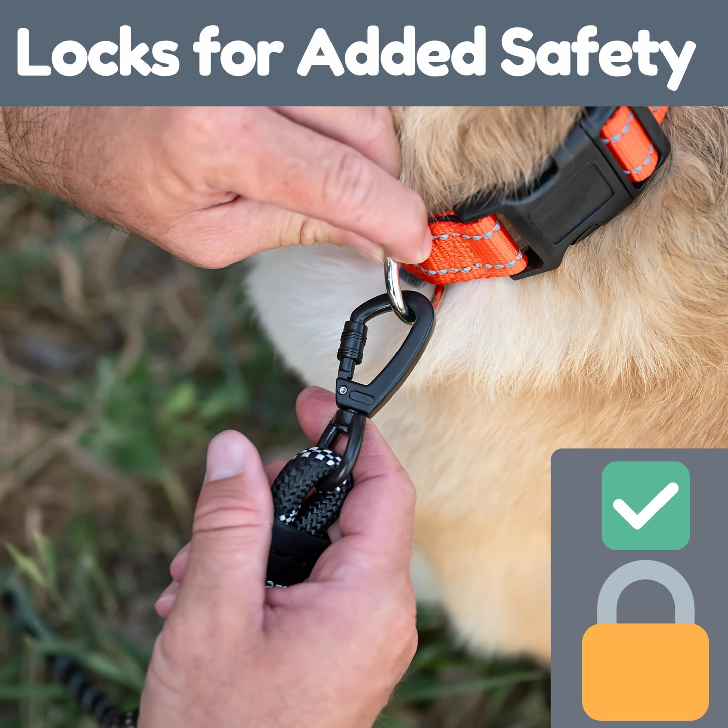 Reflective Heavy Duty Dog Leash with Padded Handles