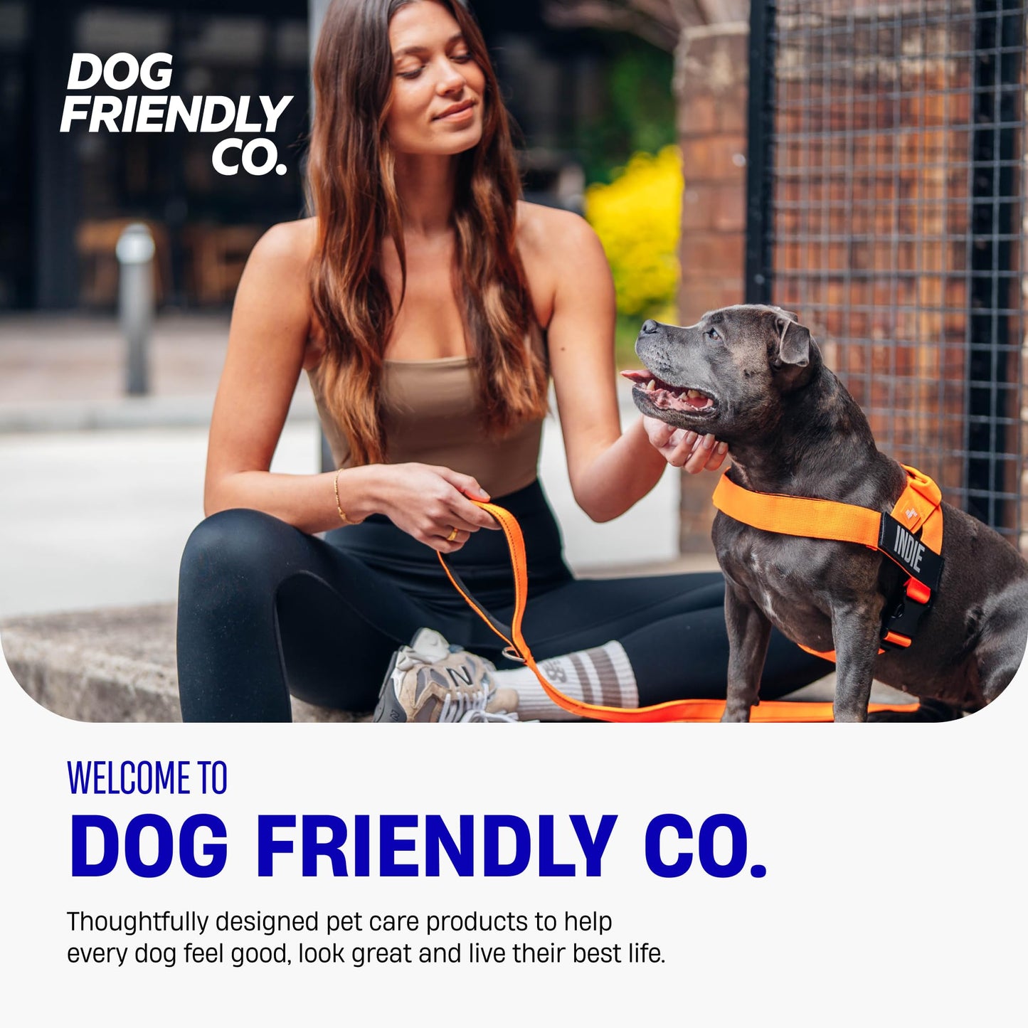 Comfortable No Pull Dog Harness