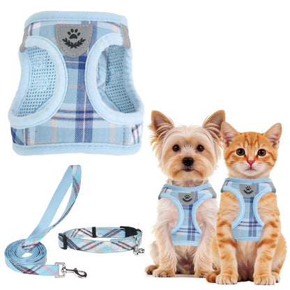 No Pull Dog Harness Set with Collar and Leash
