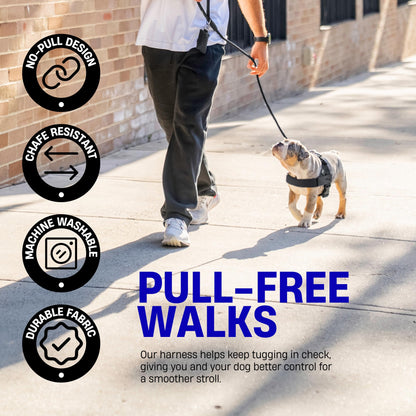 Comfortable No Pull Dog Harness
