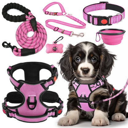 No Pull Dog Harness Set with Leash and Collar