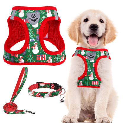 No Pull Dog Harness Set with Collar and Leash