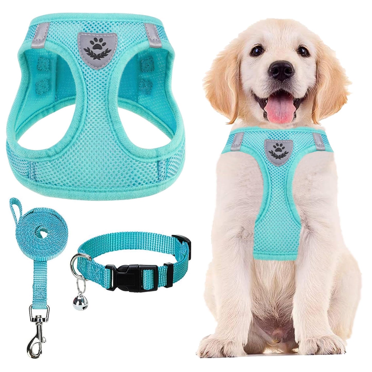 No Pull Dog Harness Set with Collar and Leash