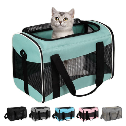 Airline Approved Soft Pet Carrier for Cats & Small Dogs