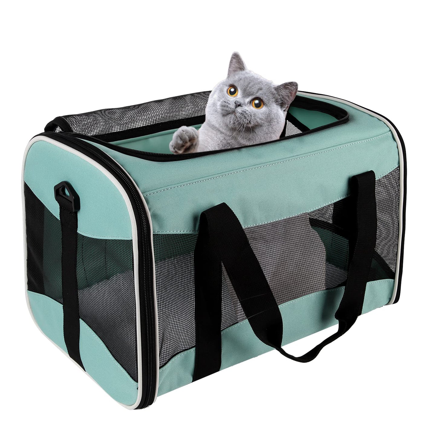 Airline Approved Soft Pet Carrier for Cats & Small Dogs