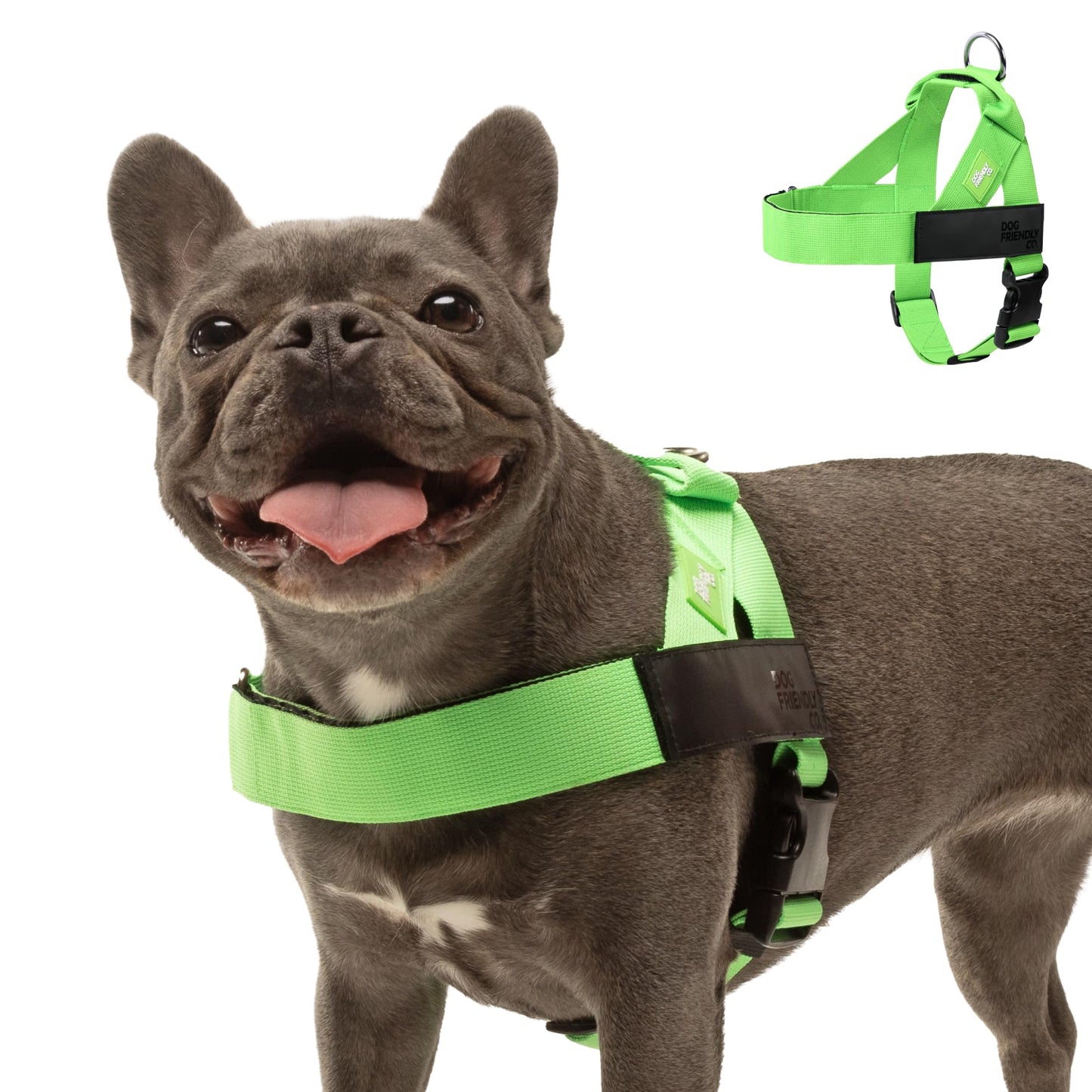 Comfortable No Pull Dog Harness