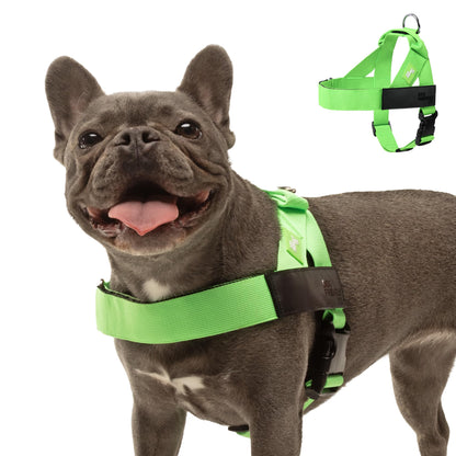 Comfortable No Pull Dog Harness