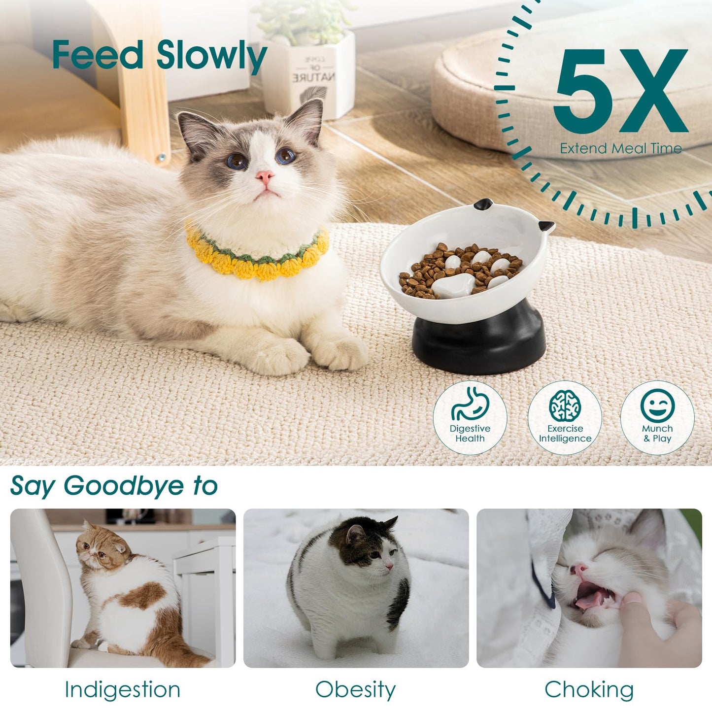Elevated Ceramic Slow Feeder Bowl for Cats & Small Dogs