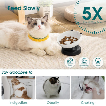 Elevated Ceramic Slow Feeder Bowl for Cats & Small Dogs