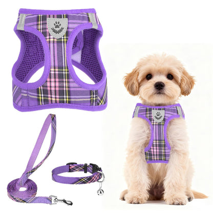 No Pull Dog Harness Set with Collar and Leash