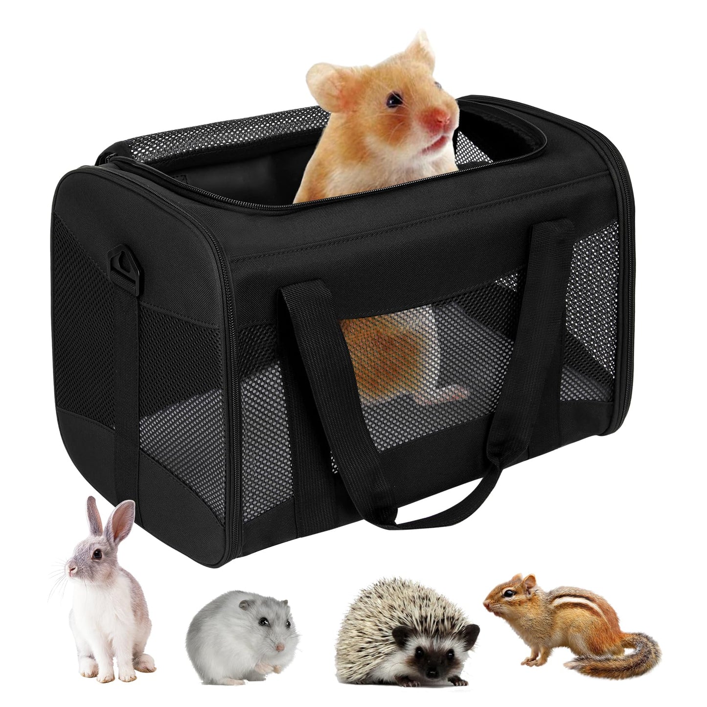 Airline Approved Soft Pet Carrier for Cats & Small Dogs