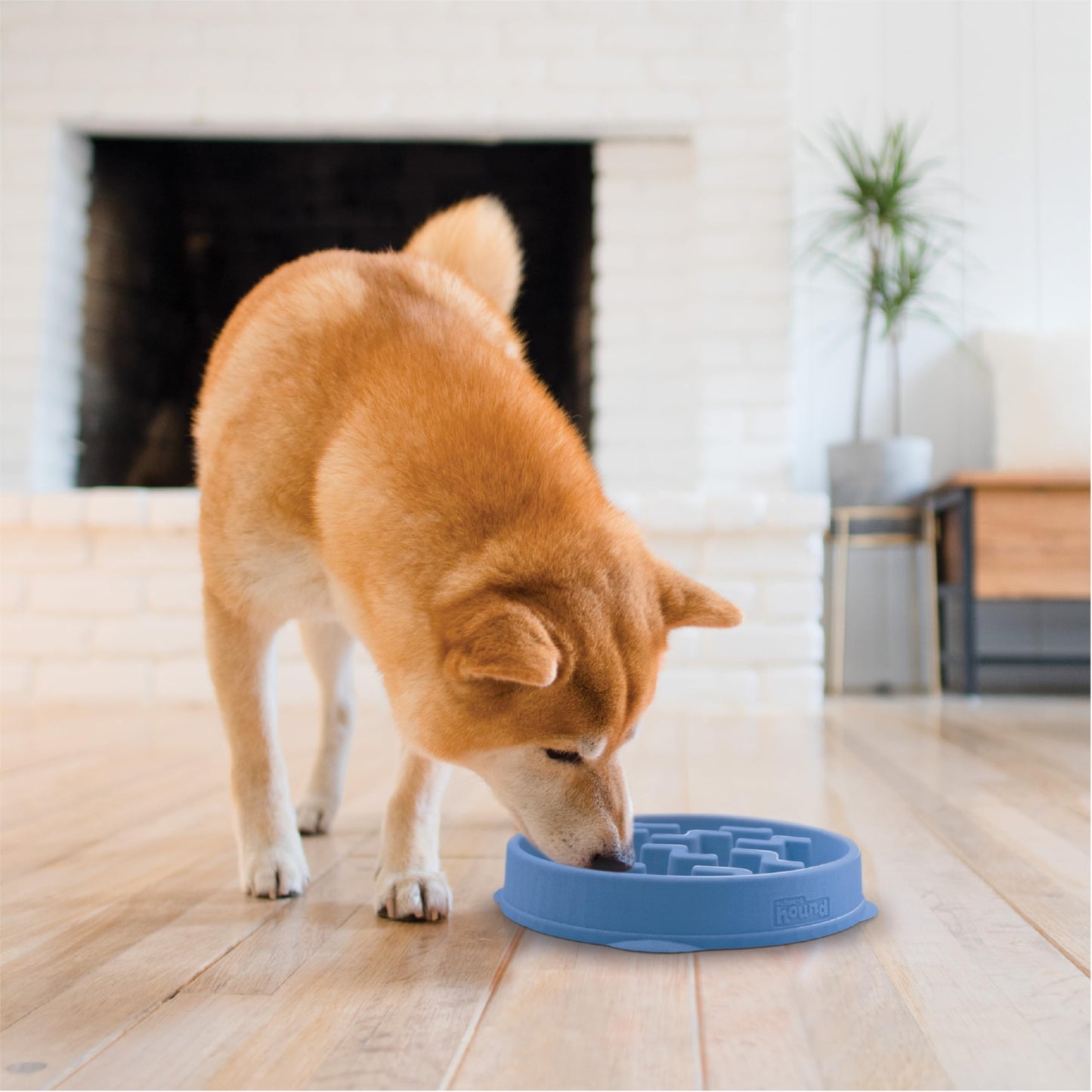 Stainless Steel Slow Feeder Dog Bowl with Puzzle Maze