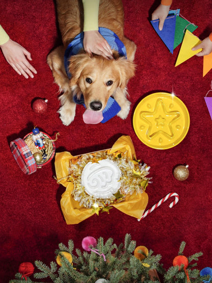 Ceramic Slow Feeder Bowl for Dogs & Small Pets