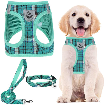 No Pull Dog Harness Set with Collar and Leash