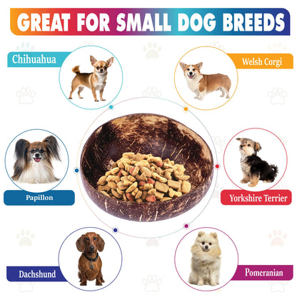 Raised Bamboo Dog Bowl Set for Elevated Feeding